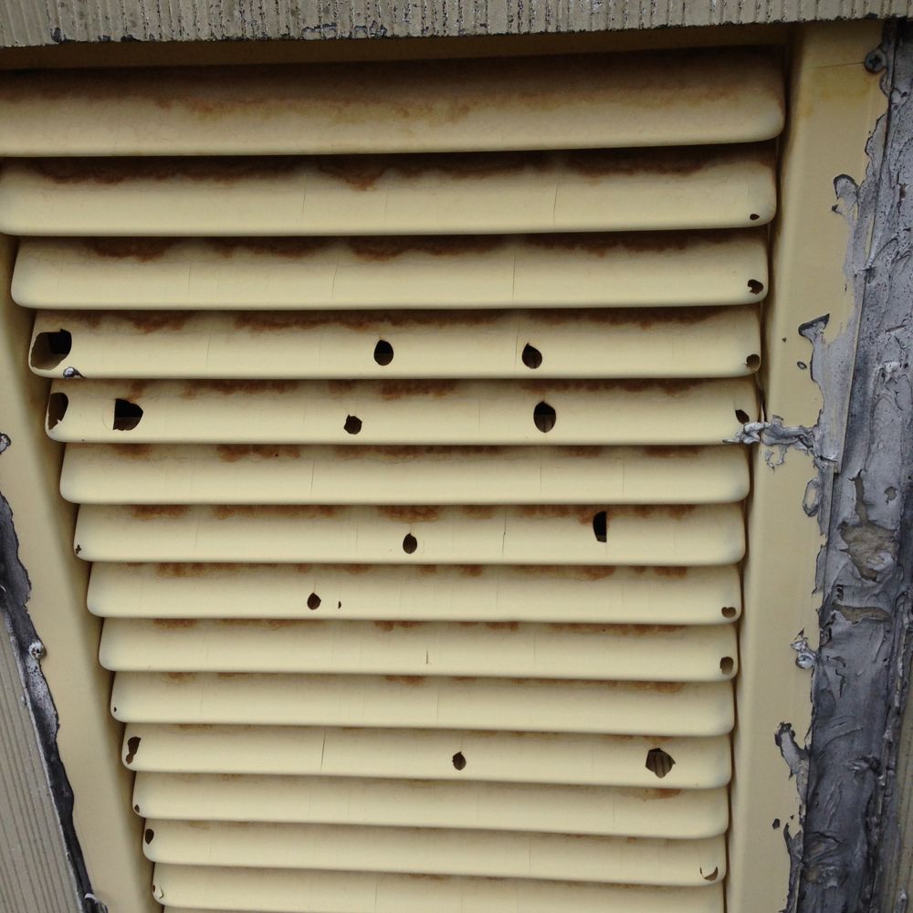 Advanced Termite and Pest Control