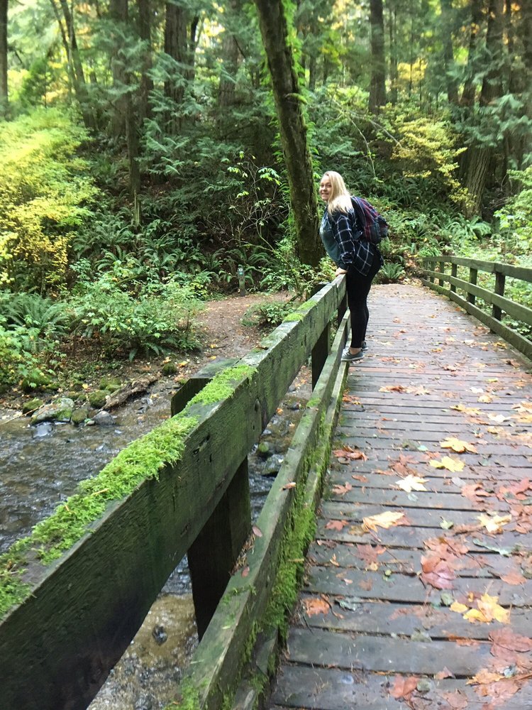 North Chuckanut Mountain Trailhead 10 Photos Hiking 1310 N State