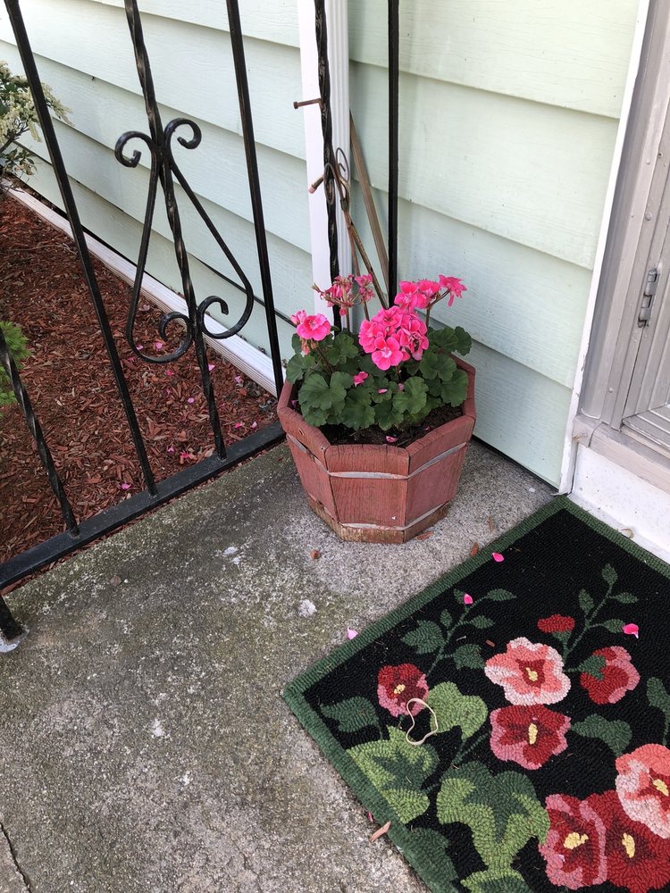 Treeland Garden Center & Nursery