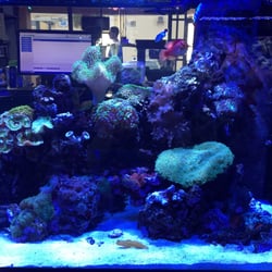 elite marinelife 10 reviews
