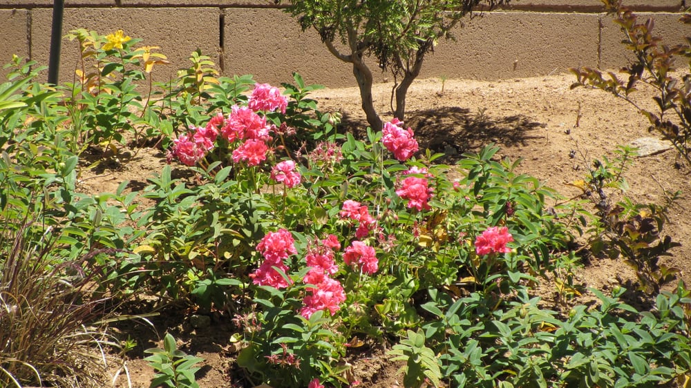 Edgar Lawn & Landscaping