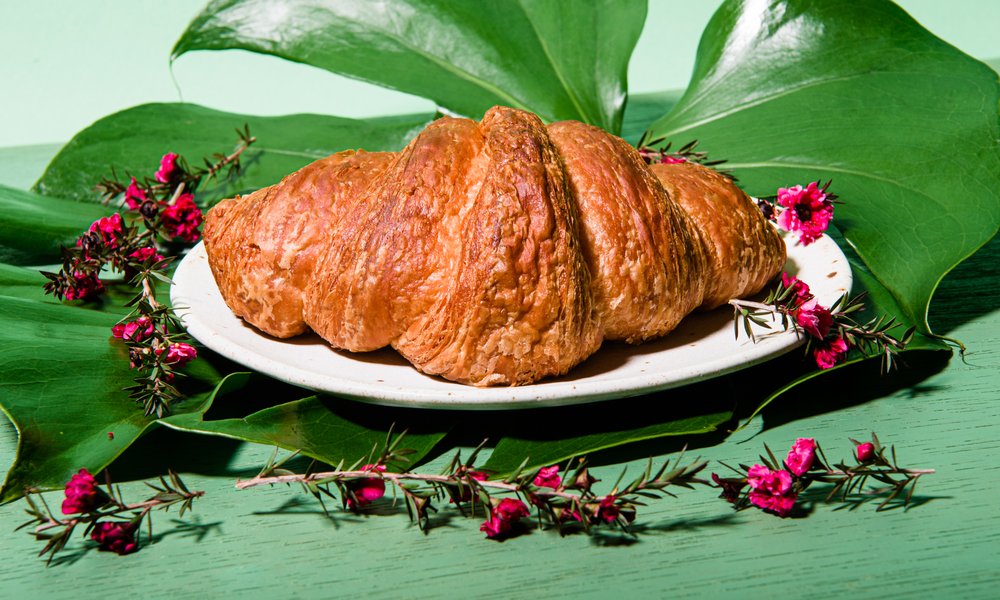 Coffee and Plants Coffee and Plants