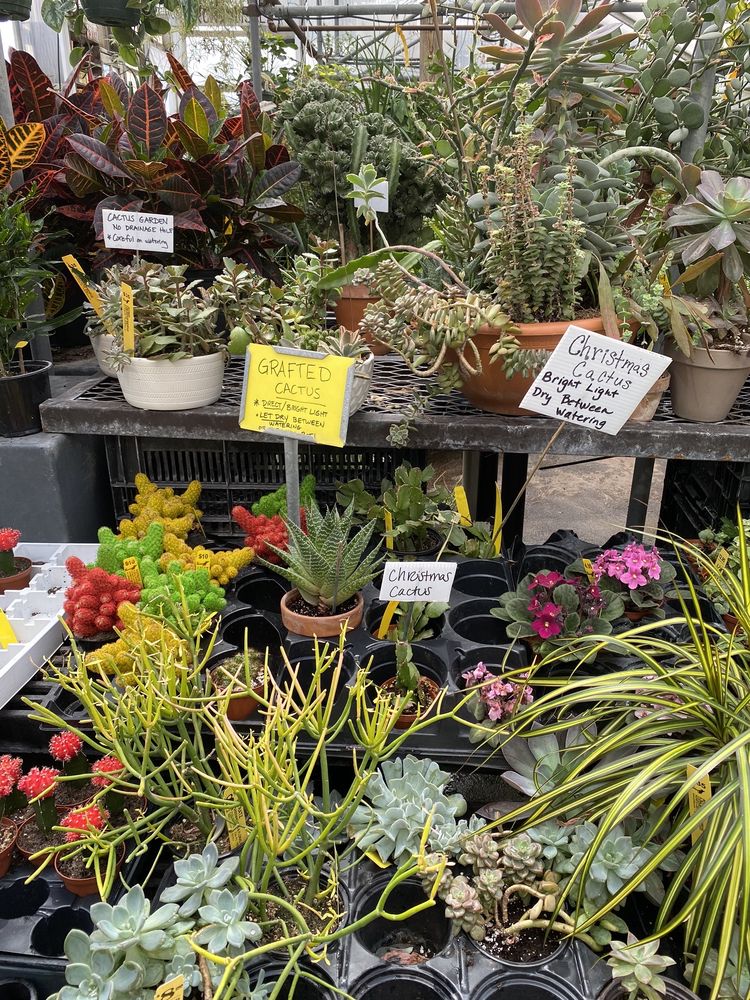 Potratz Floral Shop & Greenhouses