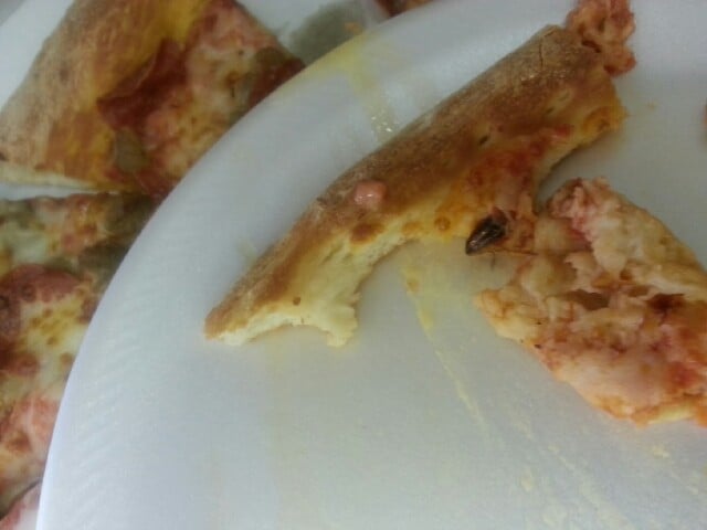 Papa Johns Pizza