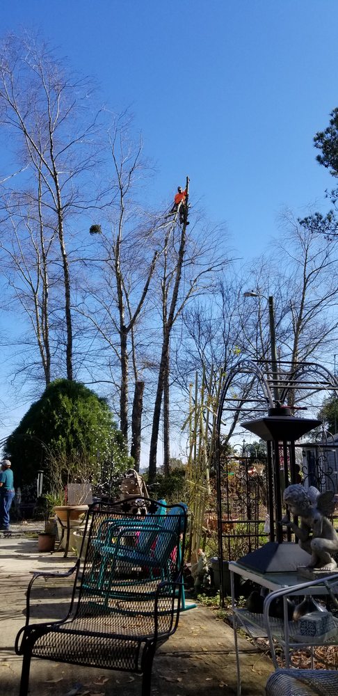 H&L Tree Service