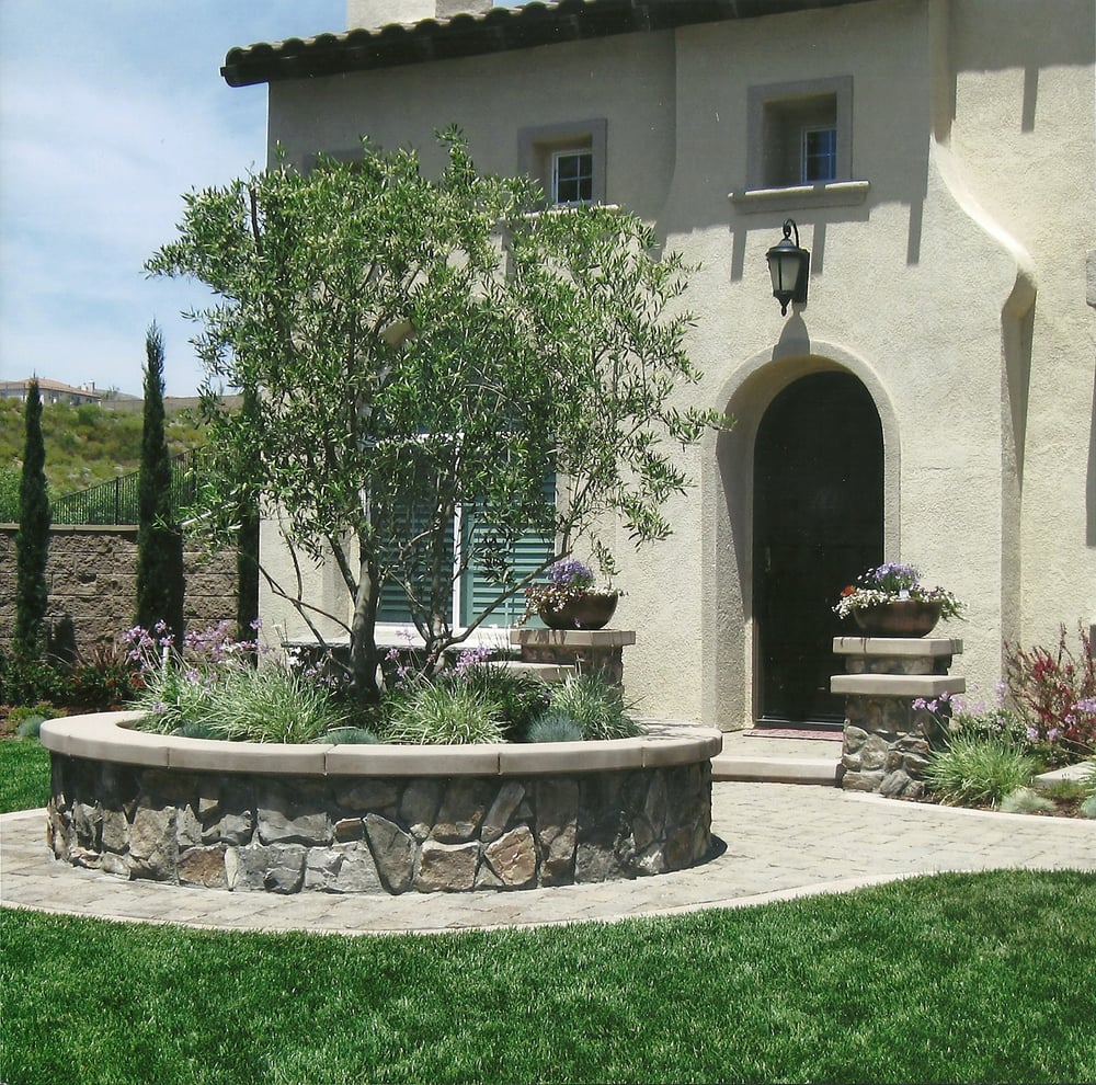 Raised Planter With Stone Veneer Olive Tree And Paver Walkway To 92 Photos For Creative Outdoor Concepts