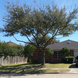 Garcia S Professional Tree Service 61 Photos 75 Reviews Photo Of Garcia S Professional Tree Service Houston Tx United States