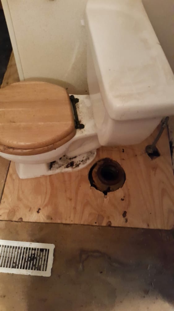DW Services