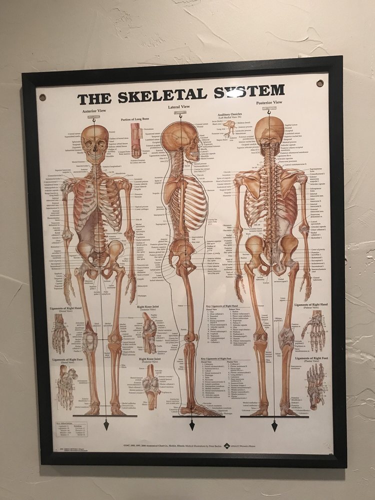 O