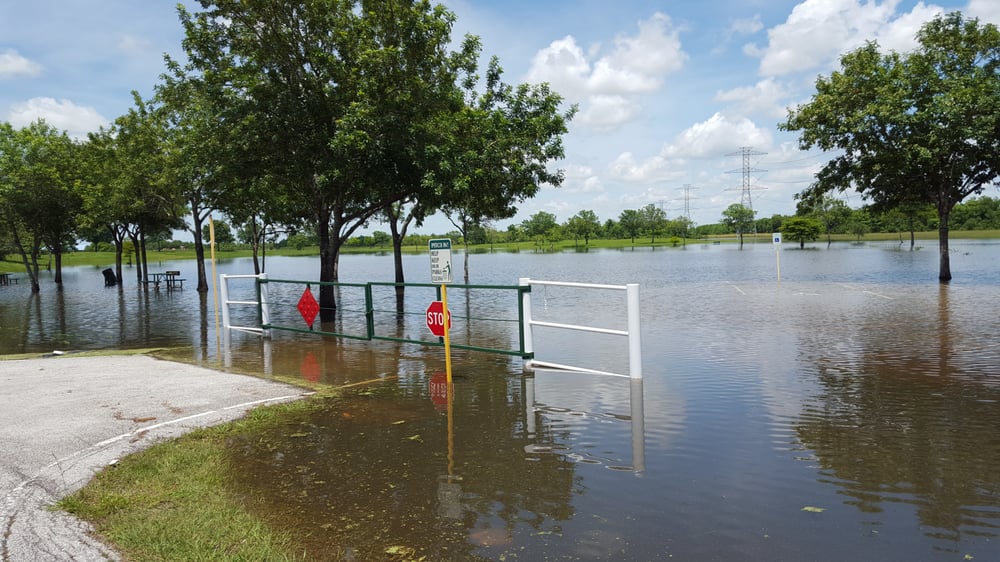 Bush Park 48 Photos & 30 Reviews Parks 16756 Westheimer