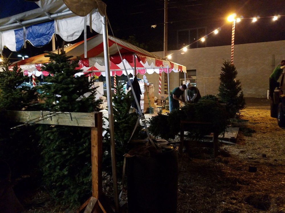 Photos For Delancey Street Christmas Tree Lot - Yelp Photo of Delancey Street Christmas Tree Lot - Santa Monica, CA, United States - Photos For Delancey Street Christmas Tree Lot - Yelp