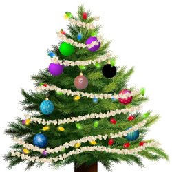 photo of bennetts best christmas trees stevenson ranch ca united states christmas - What To Do With Old Christmas Trees photo of bennetts best christmas trees stevenson ranch ca united states christmas - What To Do With Old Christmas Trees