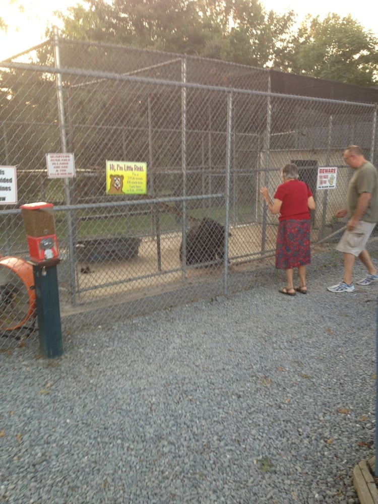 Cones & Clubs Mini Golf 5745 Lincoln Hwy, York, PA Phone Number Yelp