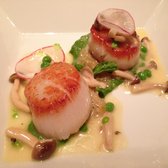 Scallops - AMAZING! (5 stars)