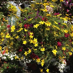Gull Harbor Nursery Nurseries Gardening 5241 Cushman Rd Ne Photo Of Gull Harbor Nursery Olympia Wa United States