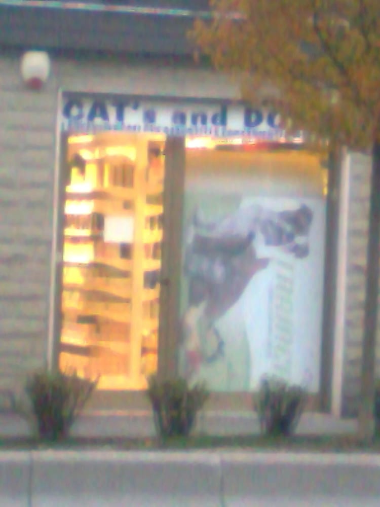 Cat S And Dog S Supermarket Firenze Cat S And Dog S Supermarket Firenze