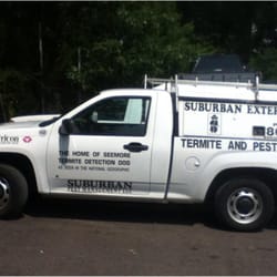 Suburban Exterminating Pest Control Oyster Bay Ny Phone Long Island Exterminator Photo Of Suburban Exterminating Oyster Bay Ny United States