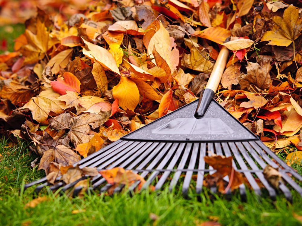 Blades Lawn Professionals
