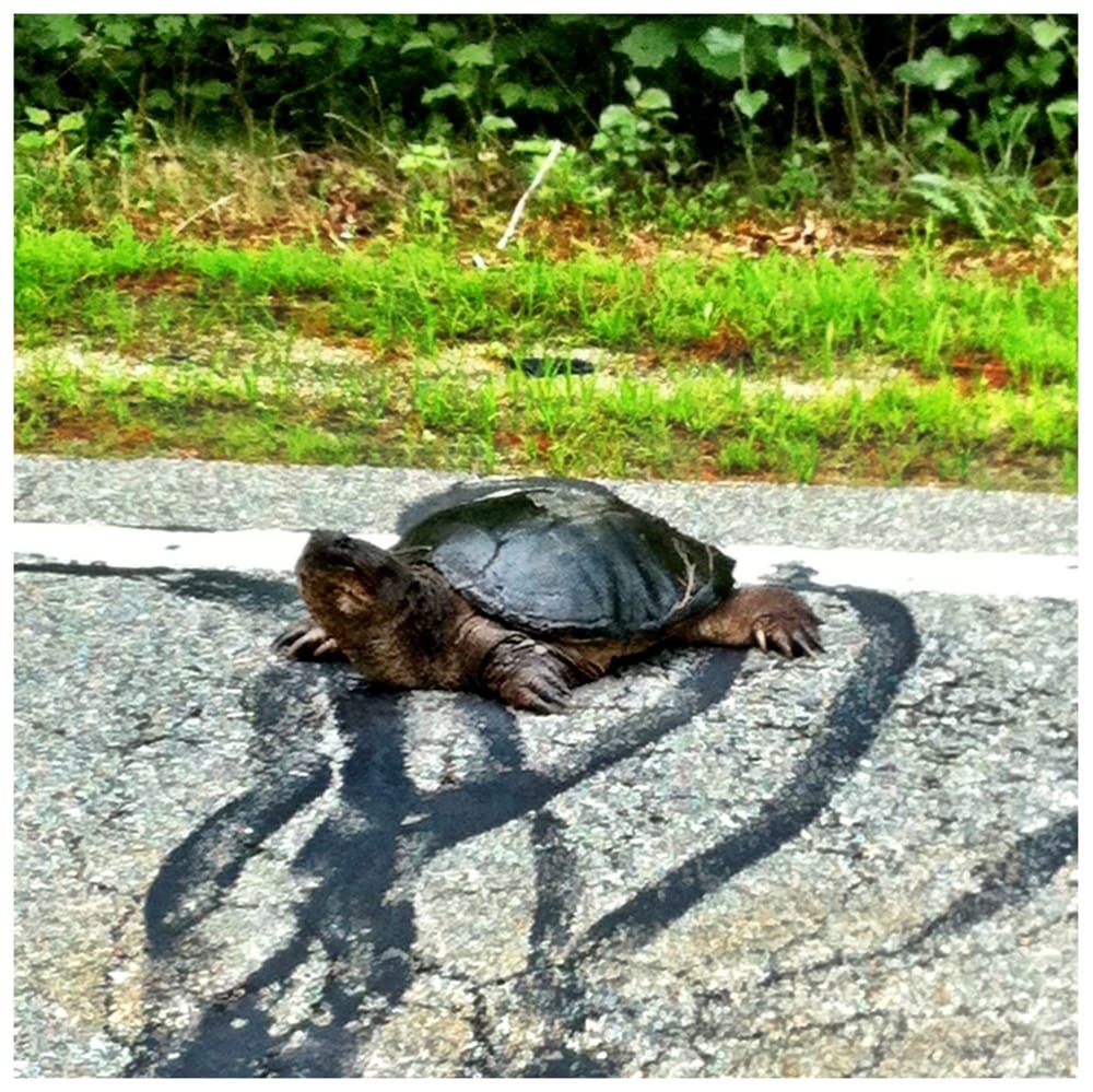 Long Pond Boating Lakeville, MA Yelp