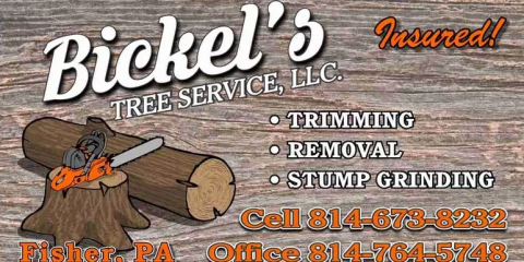 Bickel's Tree Service
