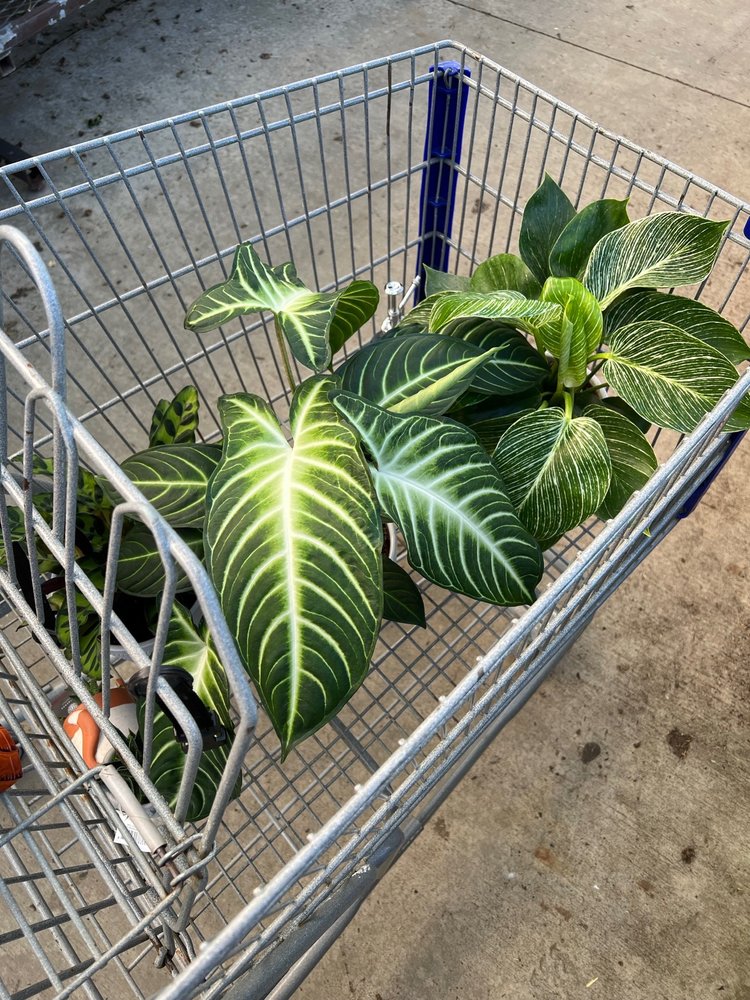 Photo of Lowe's Home Improvement