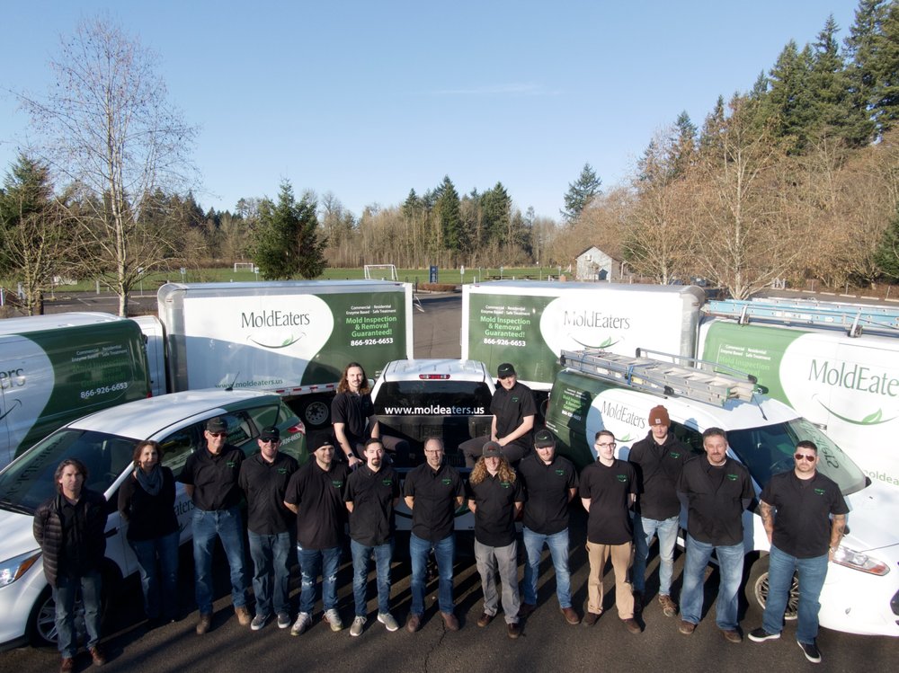 MoldEaters