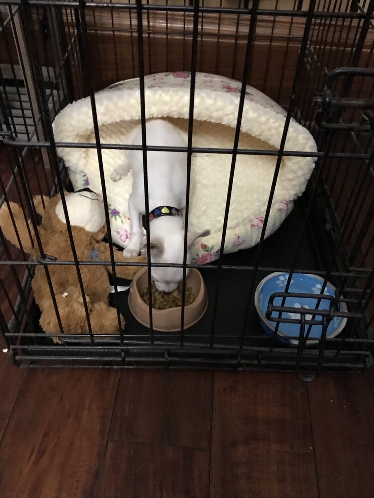 Iowa Pet Foods & Seascapes 11 Photos & 14 Reviews Pet Stores 1500