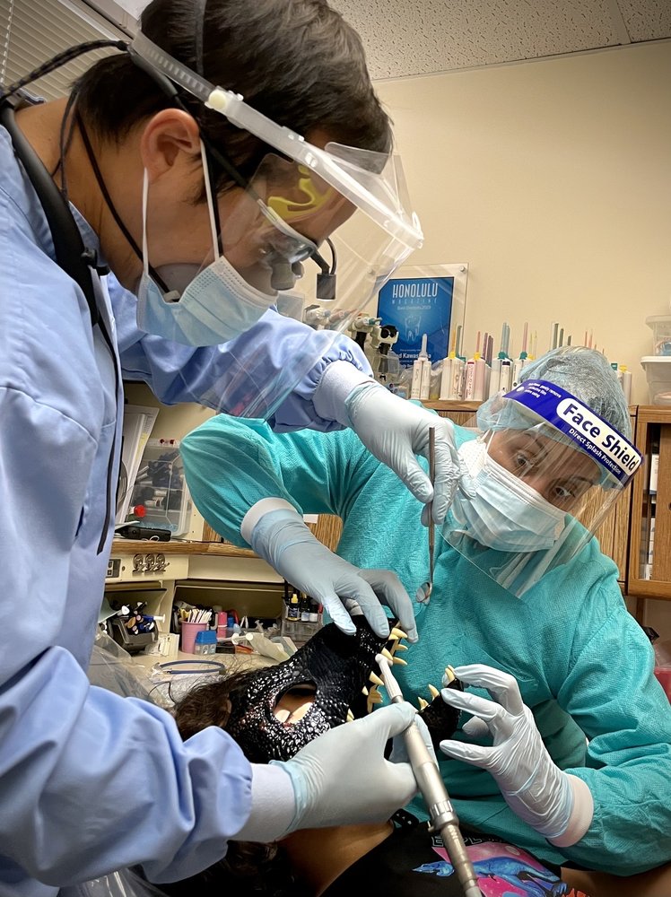image of business Chad T Kawashima, DDS