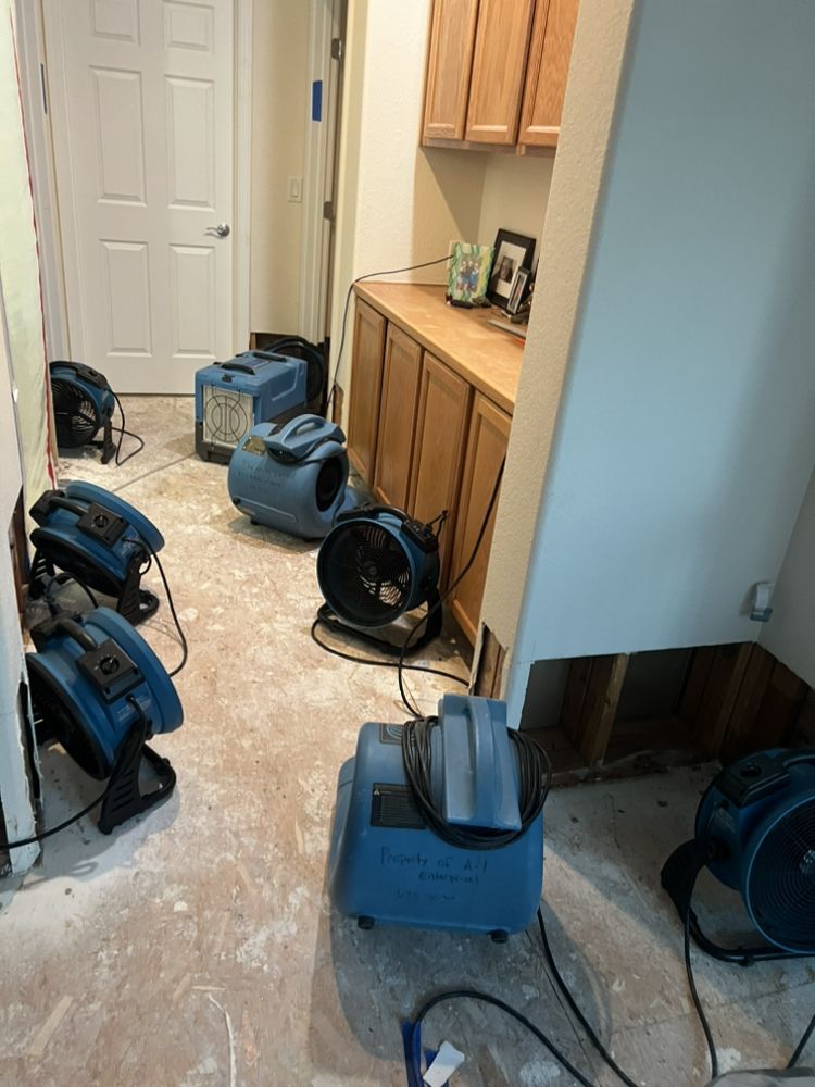 Pro Service Restore Water and Fire Damage
