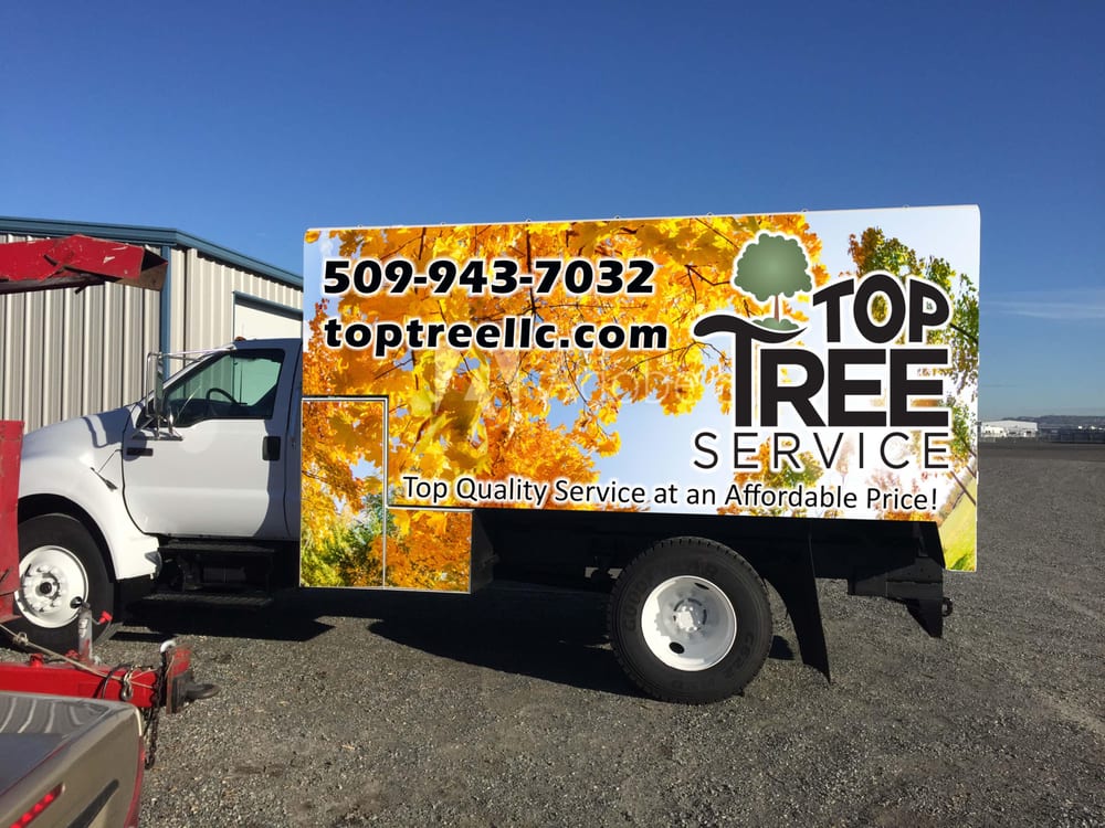 Top Tree Service