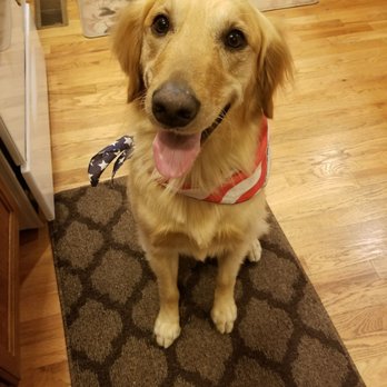 All Four Paws Dog Grooming - 37 Photos &amp; 10 Reviews - Pet Groomers - 8510 Pearl St, Thornton, CO