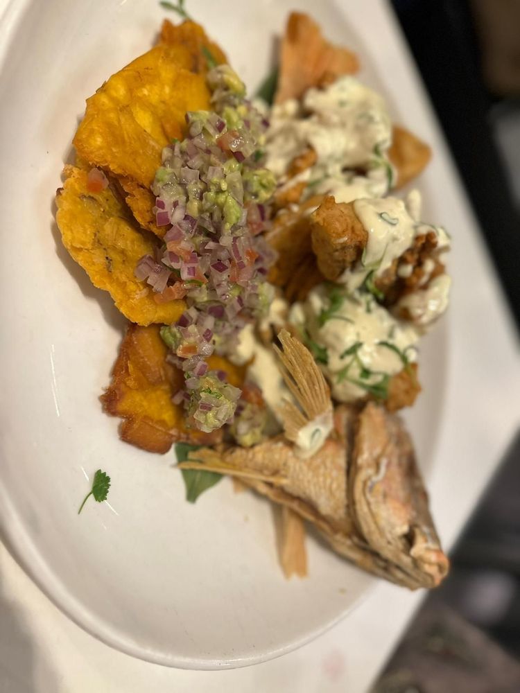 CVI.CHE 105 CVI.CHE 105