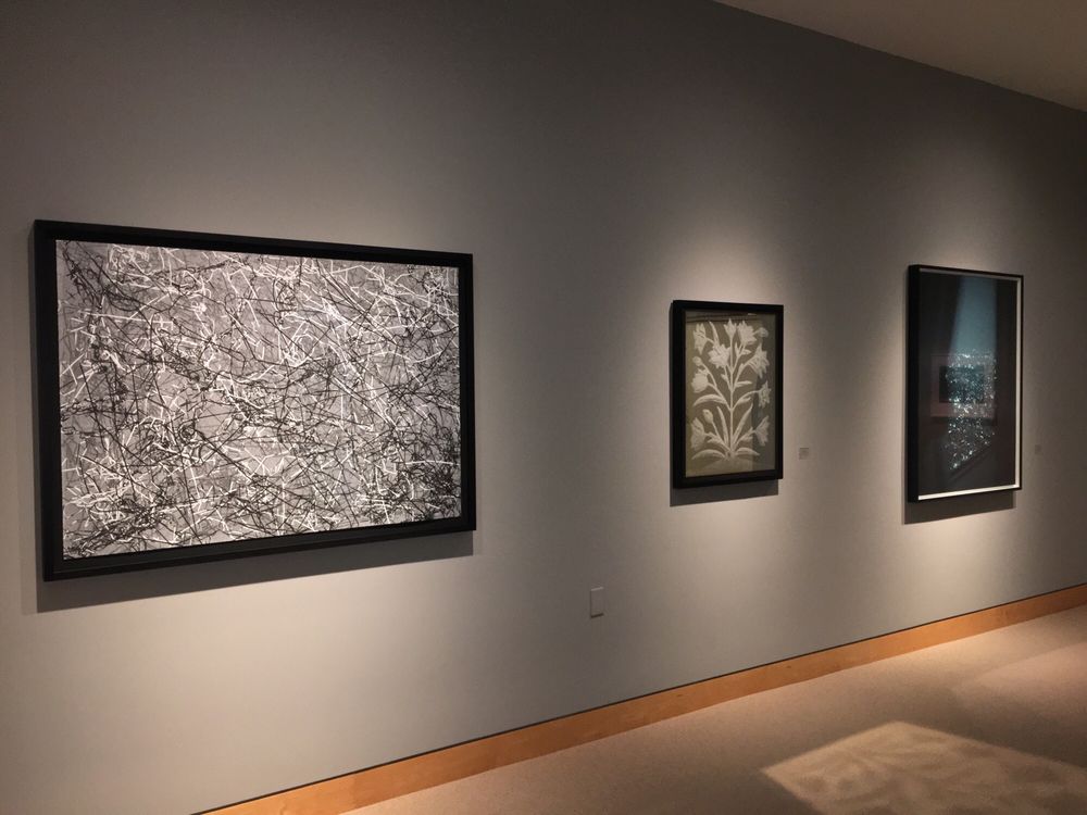 Fraenkel Gallery 15 Photos & 21 Reviews Art Galleries 49 Geary St