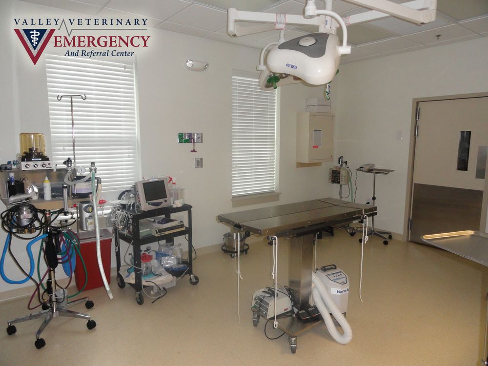 Valley Veterinary Emergency & Referral Center 16 Reviews Veterinarians 210 Costello Dr