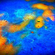 Photo of Paul Moore Park - San Jose, CA, United States