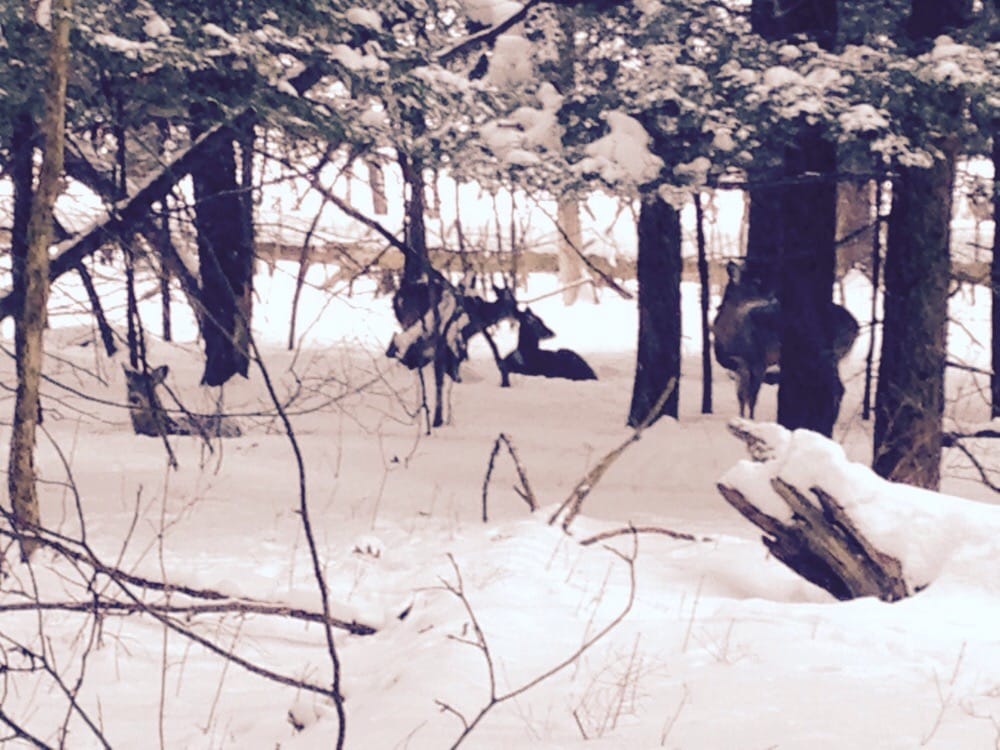 Beaver Lake Nature Center 16 Photos & 11 Reviews Parks 8477 E Mud