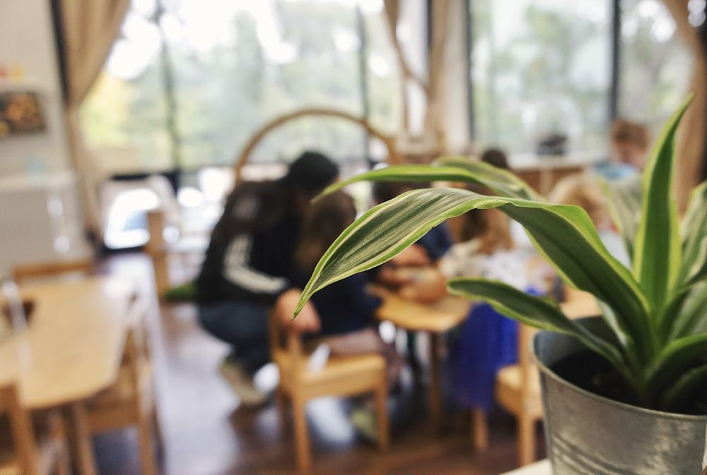 Little Sprouts Academy - San Diego