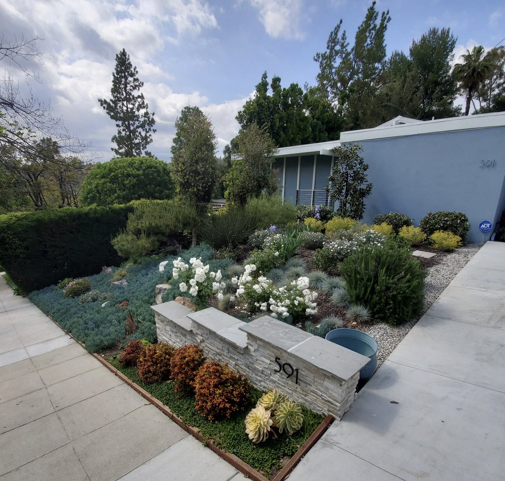 L A Plants
