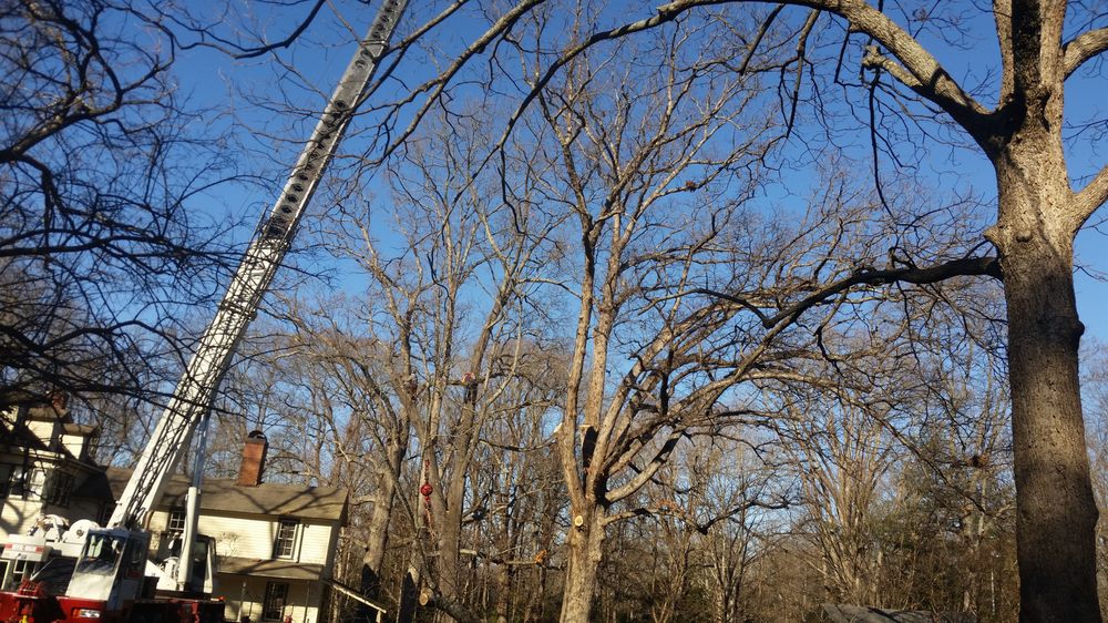 James Roberts Professional Tree Service