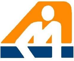 Master Mechanic