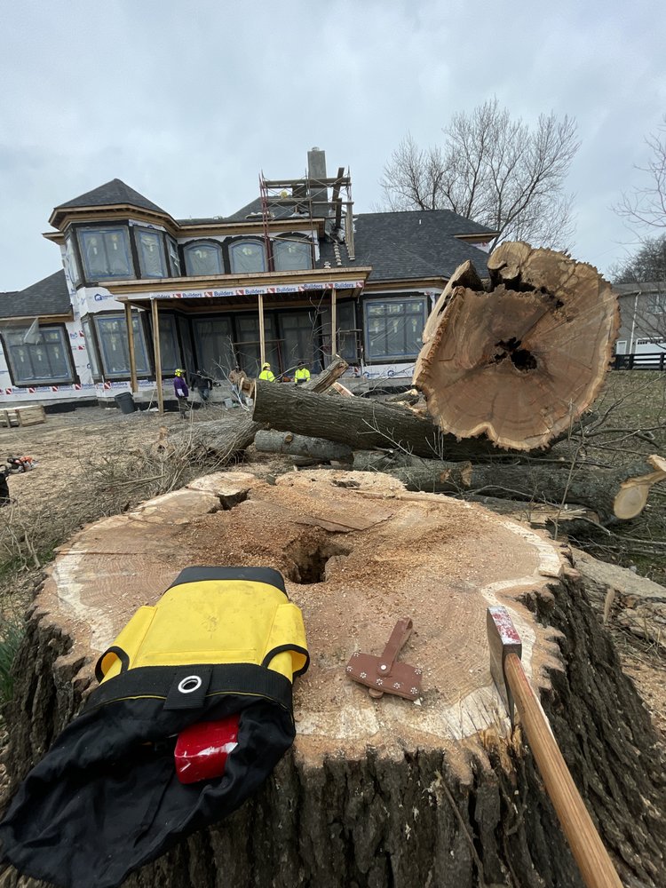 Dandy Tree Service