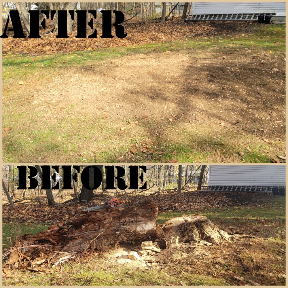 Lawn Enforcement Property Maintenance
