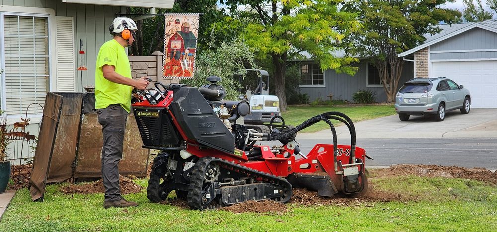 Bundy's Tree Service