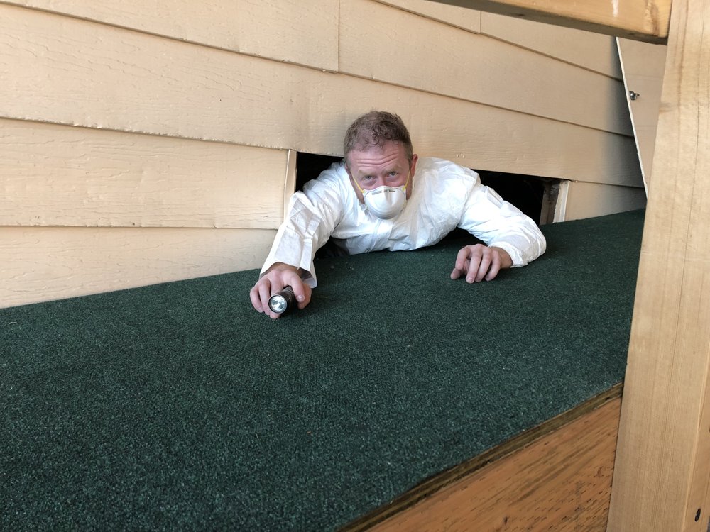 Skyline Home Inspection