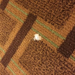 Americas Best Value Inn 19 Photos Hotels 112 Hwy 62 W Photo Of Americas Best Value Inn Princeton Ky United States Gum On