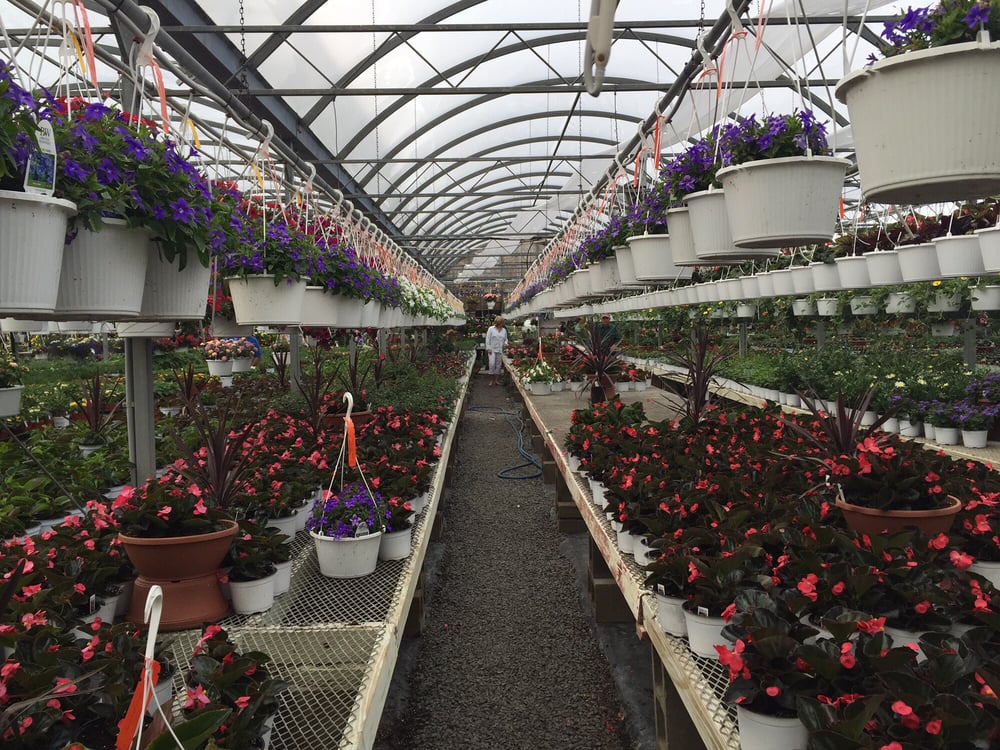 Hollandia Nurseries 21 Photos Nurseries & Gardening 103 Old