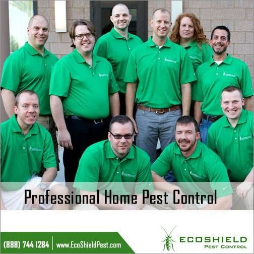 EcoShield Pest Solutions