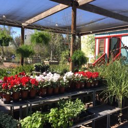 Whitfill Nursery 46 Photos 49 Reviews Nurseries Whitfill Nursery 46 Photos 49 Reviews Nurseries