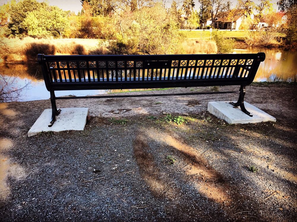 Newhall Community Park 176 Photos & 80 Reviews Dog Parks Turtle