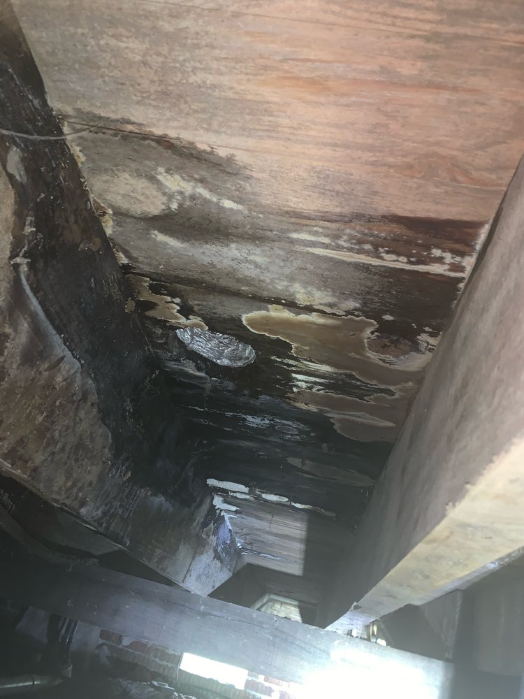 image of business Davie Shoring
